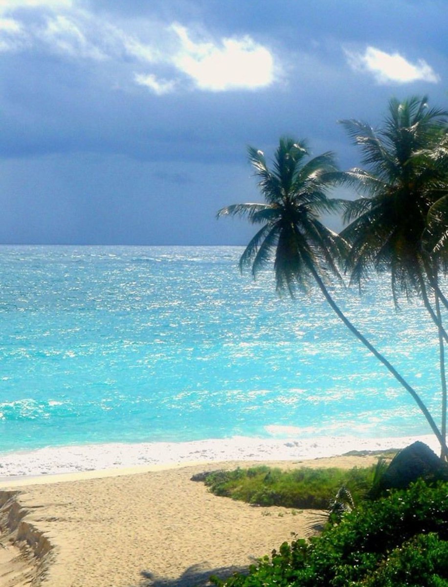 ili_naturelover's tweet photo. Wait for me, I'm coming to you https://t.co/acDxpDrpSP