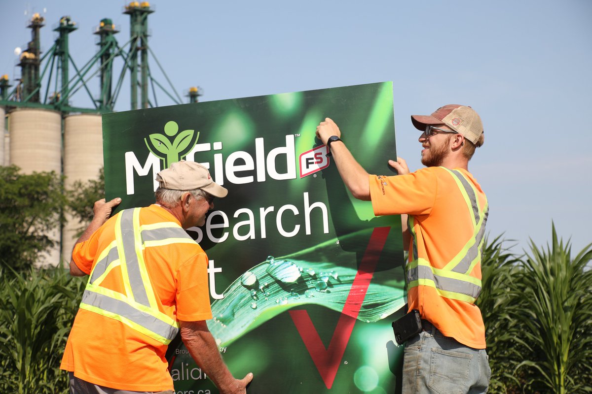 Central_ON_FS's tweet image. The FS PARTNERS Mitchell plots are signed up and looking fantastic! Ask your Crop Specialist about the MiField Research Plot and variety demonstrations happening at our branches this summer. #MiField #FSPinthefield