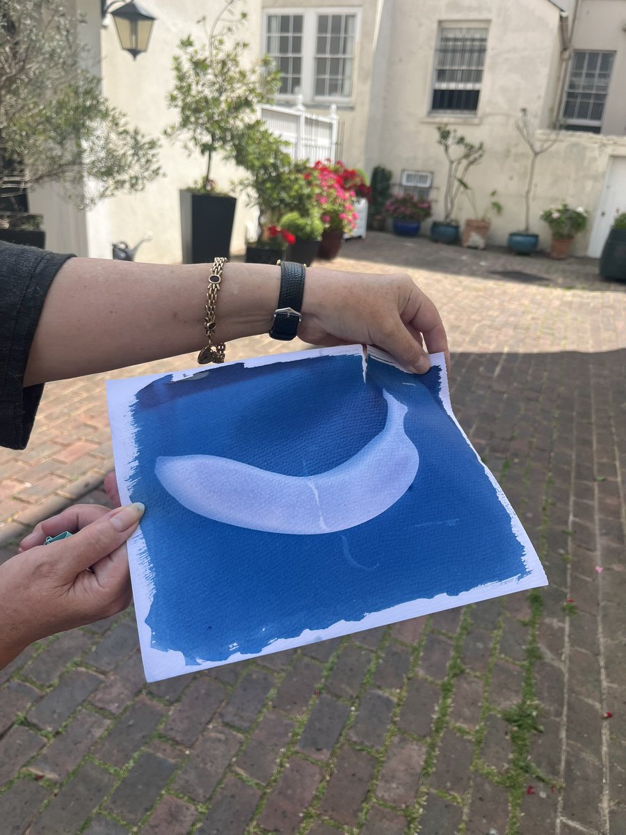 We had a very creative third Friday today, creating cyanotypes. The results were amazing!🎨🍃🌸