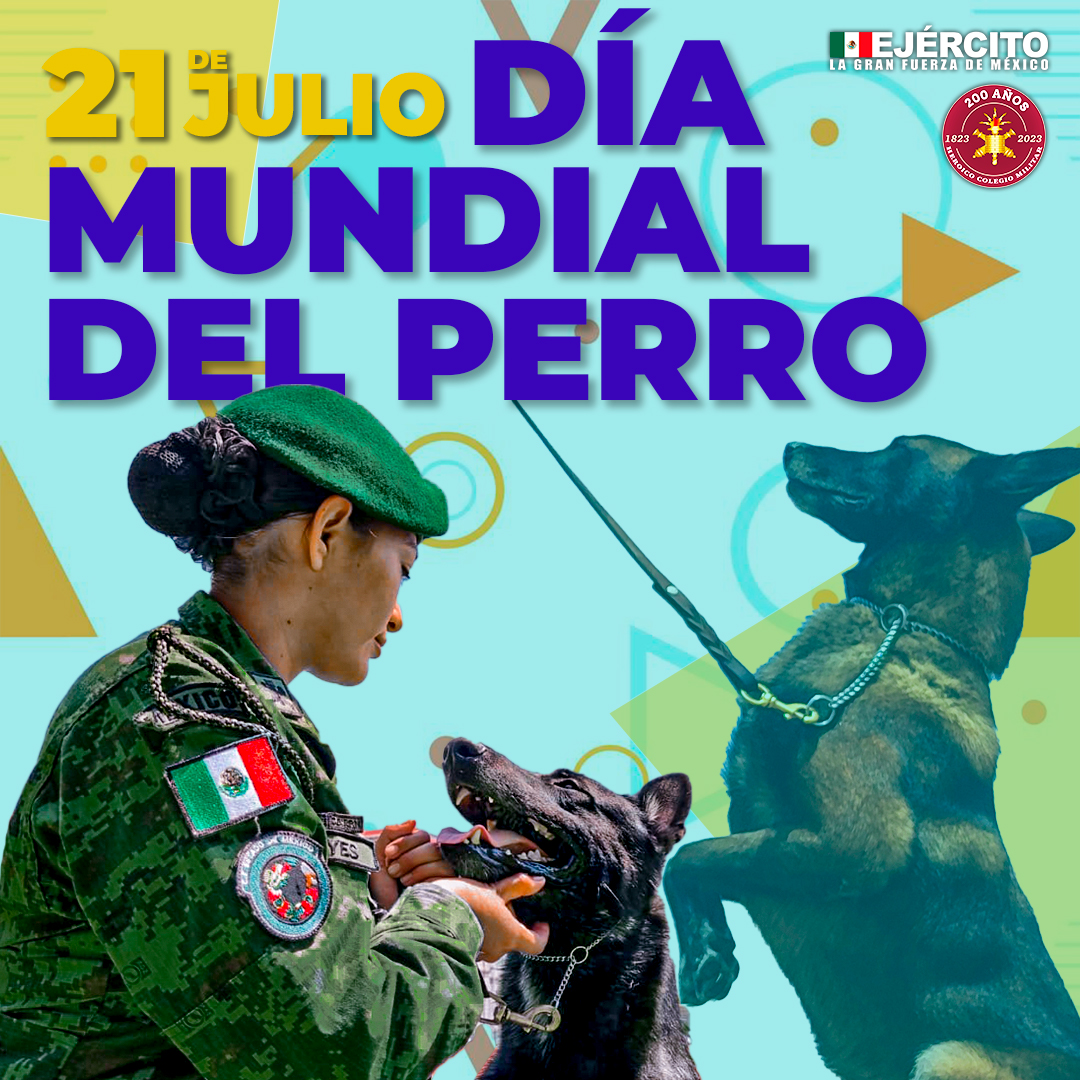 Defensamx1's tweet image. ¡Feliz #DíaMundialDelPerro!

Hoy #21DeJulio es un día para honrar y reconocer a estos maravillosos seres y para crear conciencia sobre la importancia de su bienestar y protección.

Para el personal del #EjércitoMexicano y #FuerzaAéreaMx, nuestros elementos #caninos son leales…