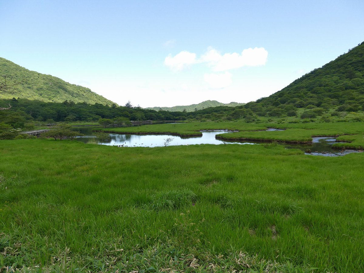 Musohshi's tweet photo. 昨日
2023年07月20日(木)
群馬県赤城山覚満淵　標高約1400m
覚満淵という小さな池の周りと
途中約30m登った鳥居峠にある
レストハウスまでの往復(コーヒー飲みました)
再び池に降りて池の周りを歩き
色々な野草を堪能してきました。

2014年10月購入のコンデジ
ﾊﾟﾅｿﾆｯｸ　LUMIX DMC-FZ1000 https://t.co/oaJ8hecq1y