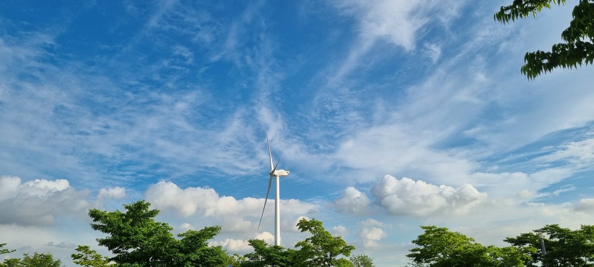 Blue sky, Long time no see