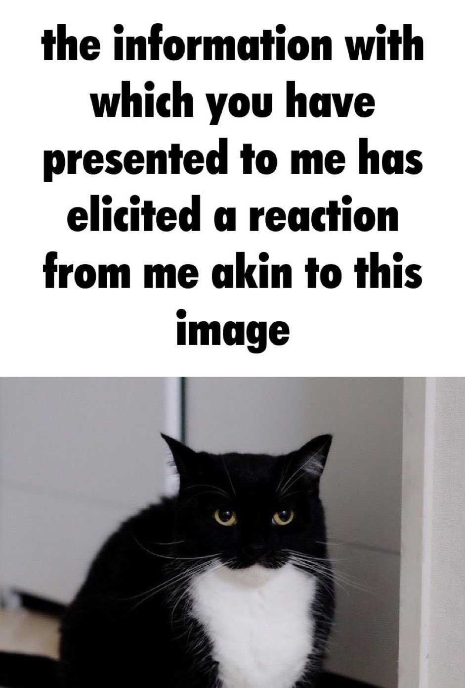 katt (swag era) on Twitter "kozzygla 3 https//t.co/rriBXRd3Ph