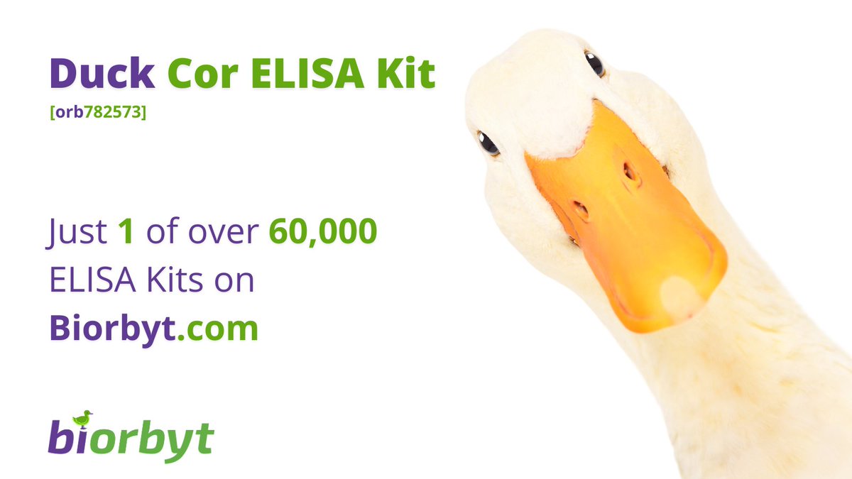 🦆

#research #lifesciences #bioscience #laboratory