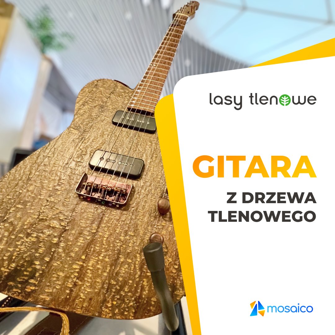 Z drewna z drzew tlenowych można wykonać np. gitarę elektryczną! To surowiec wykorzystywany w produkcji jako alternatywa dla drewna z rodzimych gatunków drzew.

👉Zainwestuj w Lasy Tlenowe, chroń lasy przed wycinką i zarabiaj: mosaico.ai/lasy-tlenowe-3 

#token #mosaico #blockchain