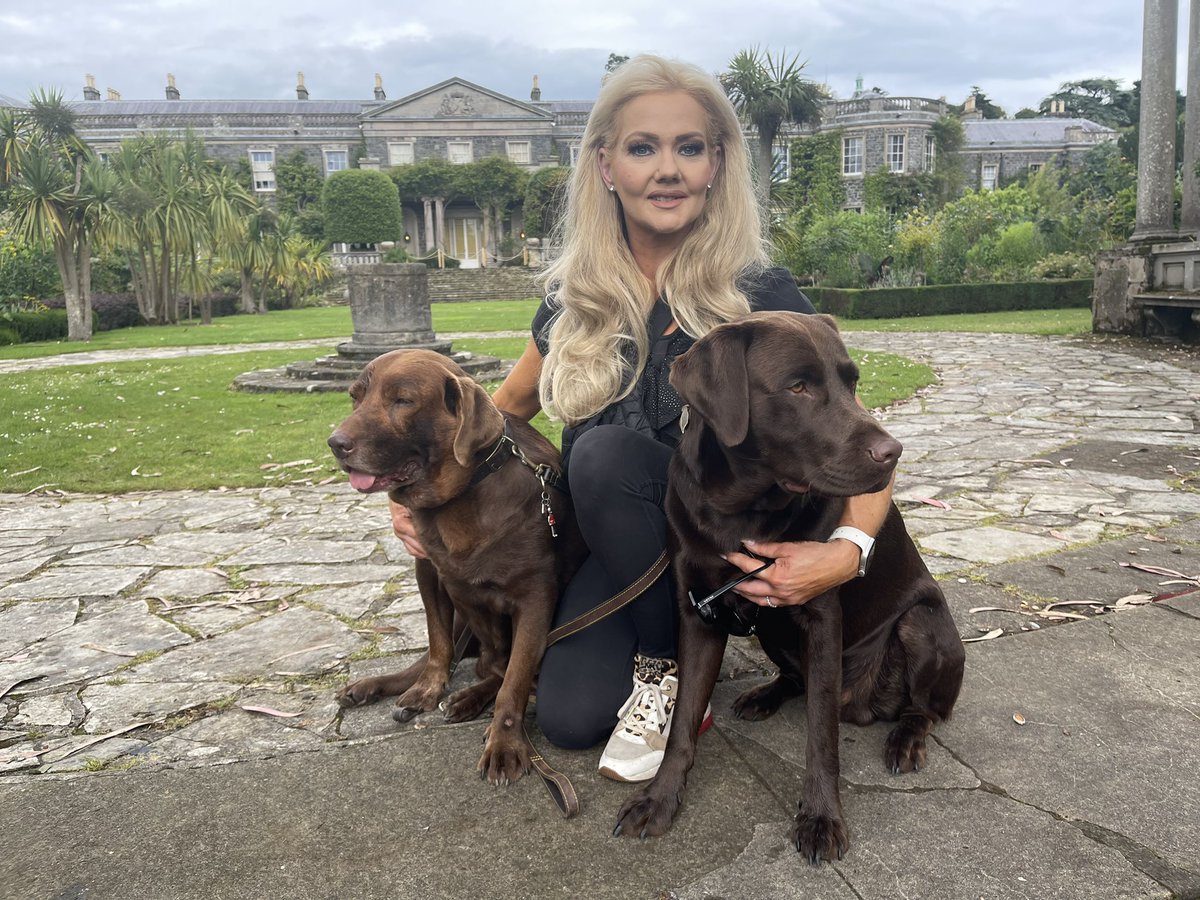 PaulaGregson1's tweet photo. @nutravet Nutraquin + we highly recommend…IT WORKS. My puppy had his first visit. My 2 do everything together x https://t.co/YiCZcIg7i9
