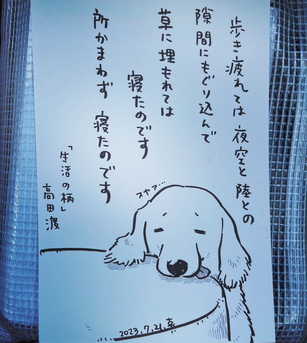 グミはなんとか歩けるようにまでなりましたが、まだ体力が回復しきっていないためすぐに疲れて眠そうにしています。

こんなに暑くなければ外に連れて行ってやりたいのにな。

#グミ王子
#高田渡 