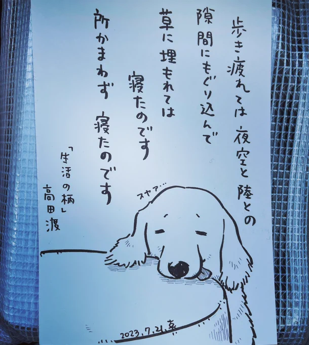 グミはなんとか歩けるようにまでなりましたが、まだ体力が回復しきっていないためすぐに疲れて眠そうにしています。

こんなに暑くなければ外に連れて行ってやりたいのにな。

#グミ王子
#高田渡 