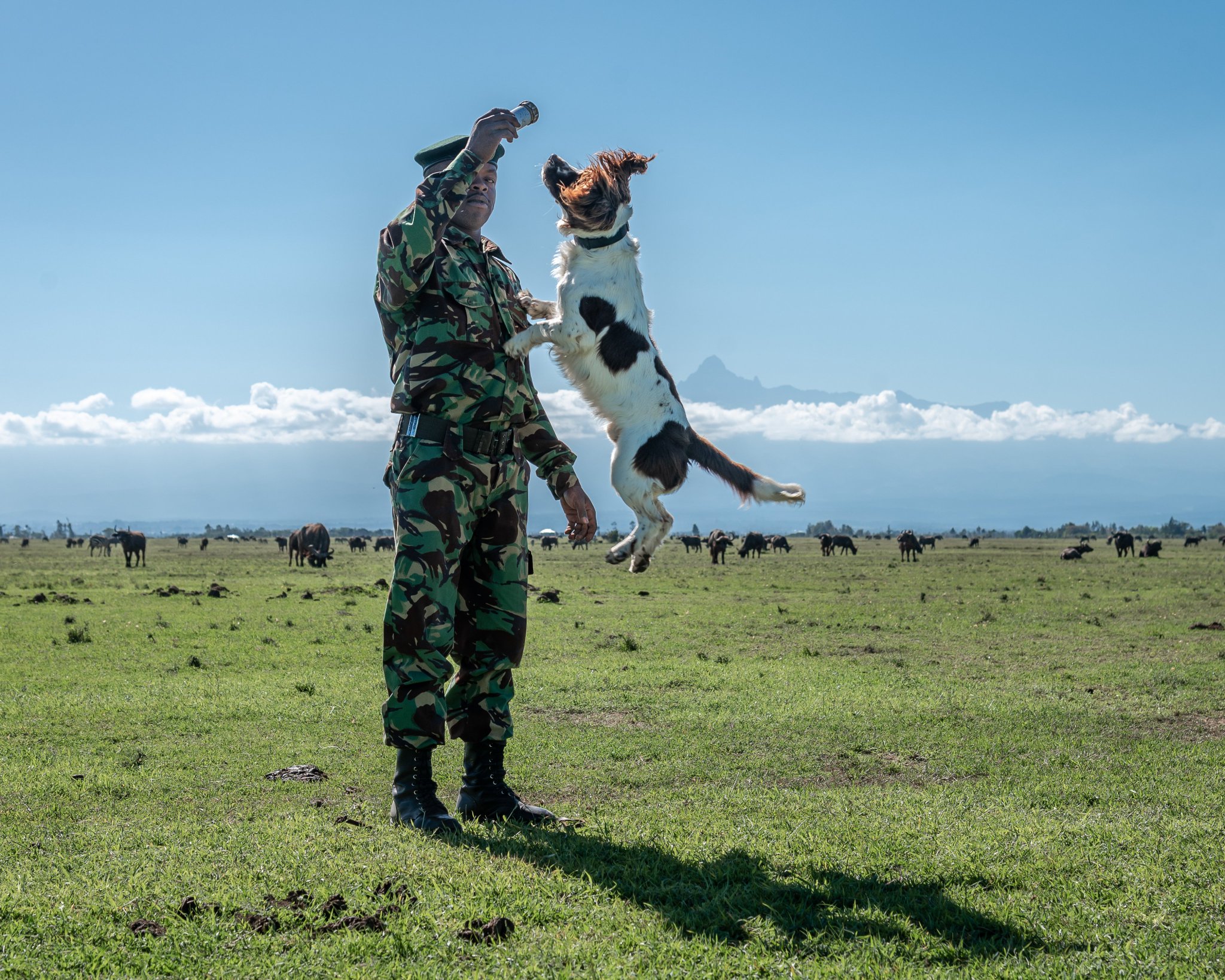 Ol Pejeta Escapes on Twitter: 