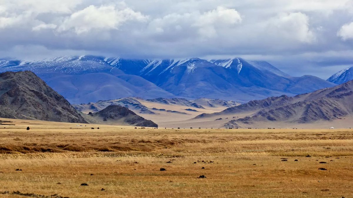 🖊️Op-ed by Deputy Prime Minister of #Mongolia <a href="/KhurelbaatarCh/">Khurelbaatar Chimed</a> and Executive Director <a href="/CokeHamilton/">Pamela Coke-Hamilton</a>:

🇲🇳 can combat climate change &amp; desertification with nature's tech - trees, and humankind's ingenuity - export diversification that's sustainable. #WEDF

🔗 bit.ly/3Q9vnJ9