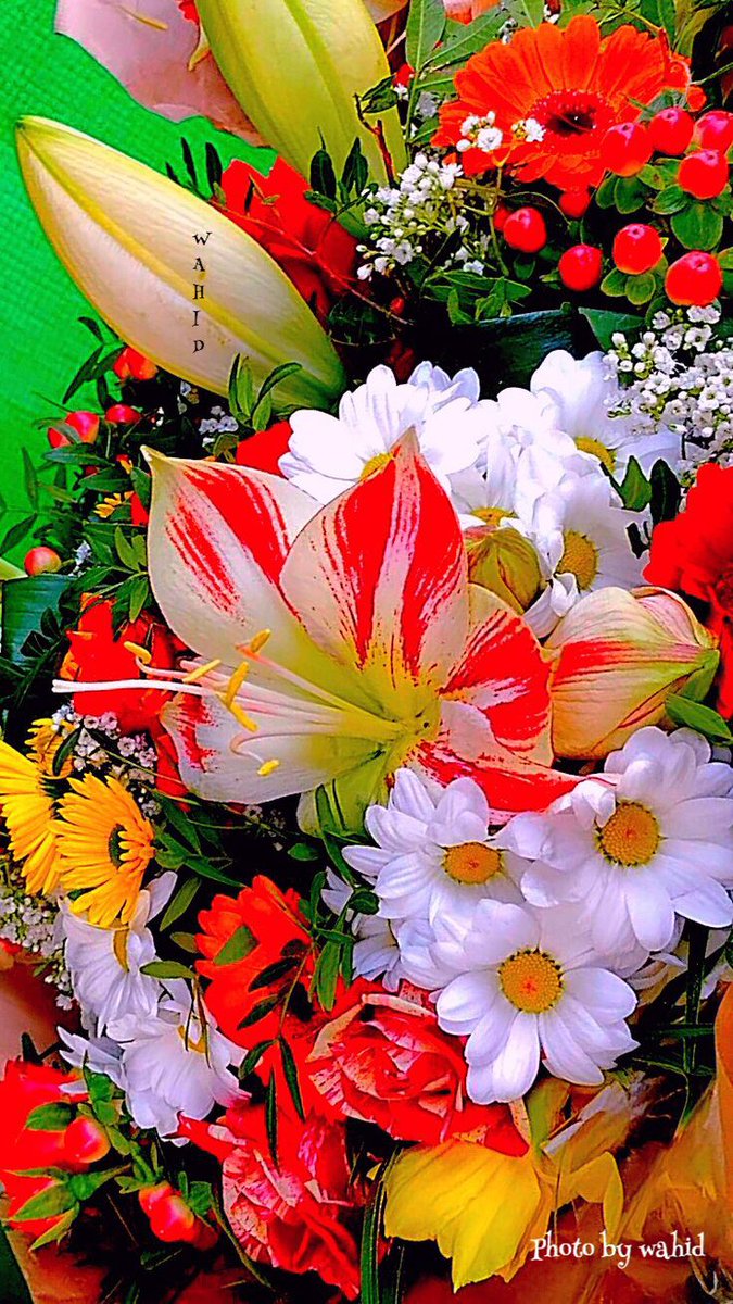Paysages_lands tweet picture