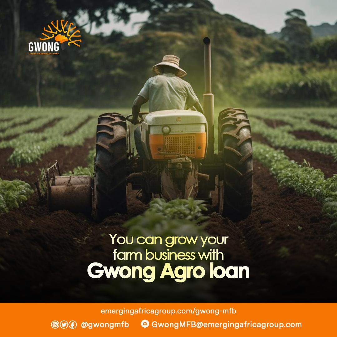 GwongMfb's tweet photo. Your farming business is good when you bank with us.
With our agroloan, you have access to increase your yield and improve production.
Open an account with us today.
#gwongaccount #agrosupport #agricfunding https://t.co/QuVOHR3mOW