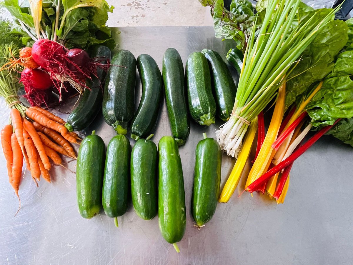 The garden is producing some amazing colours now! What a rainbow! 🌈 This little lot and plenty more will be heading to the vending machine later this afternoon for all your weekend meals!  #localfood #vegetables #5aday #fresh #healthy #vendingbyjsr #vendingmachinebusiness