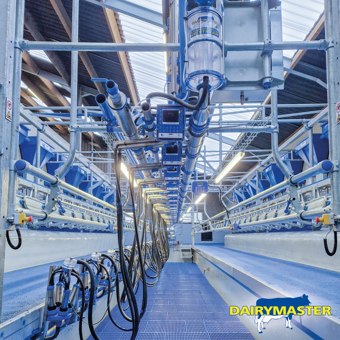 dairymaster's tweet photo. A fully equipped 20 unit Swiftflo Swing parlour in Belgium! π€©π
#SwiftfloSwing #Dairymaster #BuildingBetterProducts https://t.co/VAQjP1AUAp