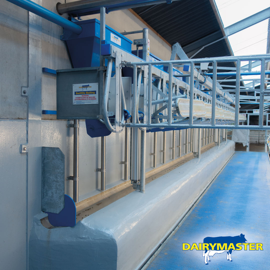 dairymaster's tweet photo. A fully equipped 20 unit Swiftflo Swing parlour in Belgium! π€©π
#SwiftfloSwing #Dairymaster #BuildingBetterProducts https://t.co/VAQjP1AUAp
