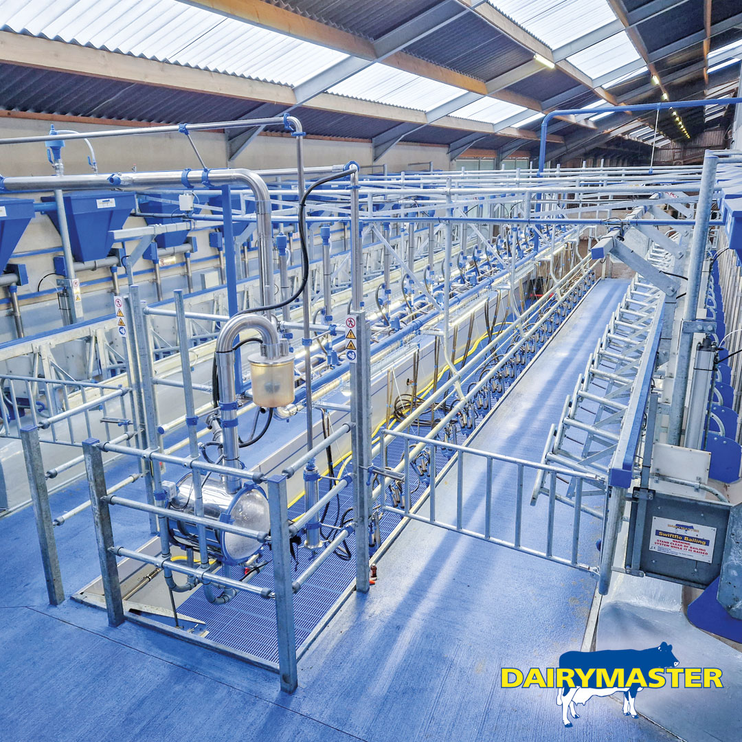 dairymaster's tweet photo. A fully equipped 20 unit Swiftflo Swing parlour in Belgium! π€©π
#SwiftfloSwing #Dairymaster #BuildingBetterProducts https://t.co/VAQjP1AUAp