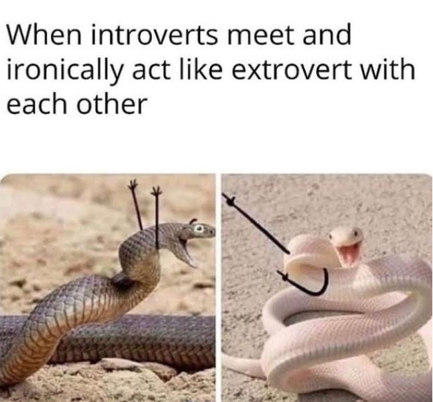 WholesomeMeme's tweet photo. https://t.co/4iOARcBoPl