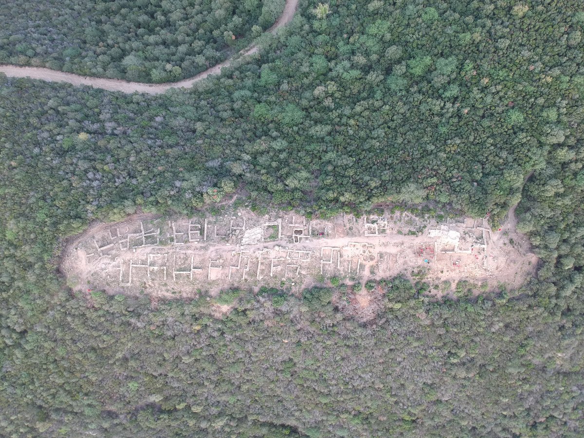 🛖 ⛏️La campanya arqueològica al jaciment ibèric de #lesMaleses, a Montcada i Reixac, descobreix una torre defensiva i de guaita a la zona nord. Els treballs compten amb el suport del Parc de la Serralada de Marina
ℹ️ parcs.diba.cat/web/l-informat…