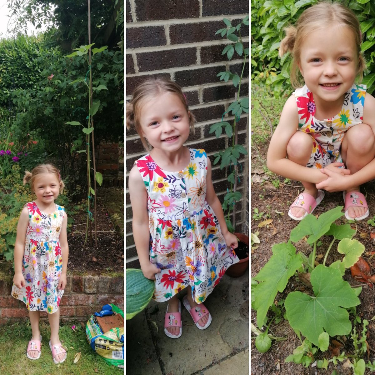 CMLBlueBelle's tweet photo. My little grower this year - sunflower, broadbean & pumpkin! All Betsy-Boo's green-fingered work with a little help from @BLVISchool and the fabulous #MarsClass plus alot of help from Grandma A to #keepthemalive.... 😍😘🌱 #betsyboo #littlegrower #howdoesyourgardengrow https://t.co/i9nnPcFk3Q
