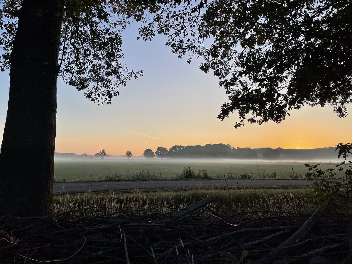 Ambt Delden, Nederland #hoevedehaar #redactieuitjejuli2023 #golf #ochtendgloren