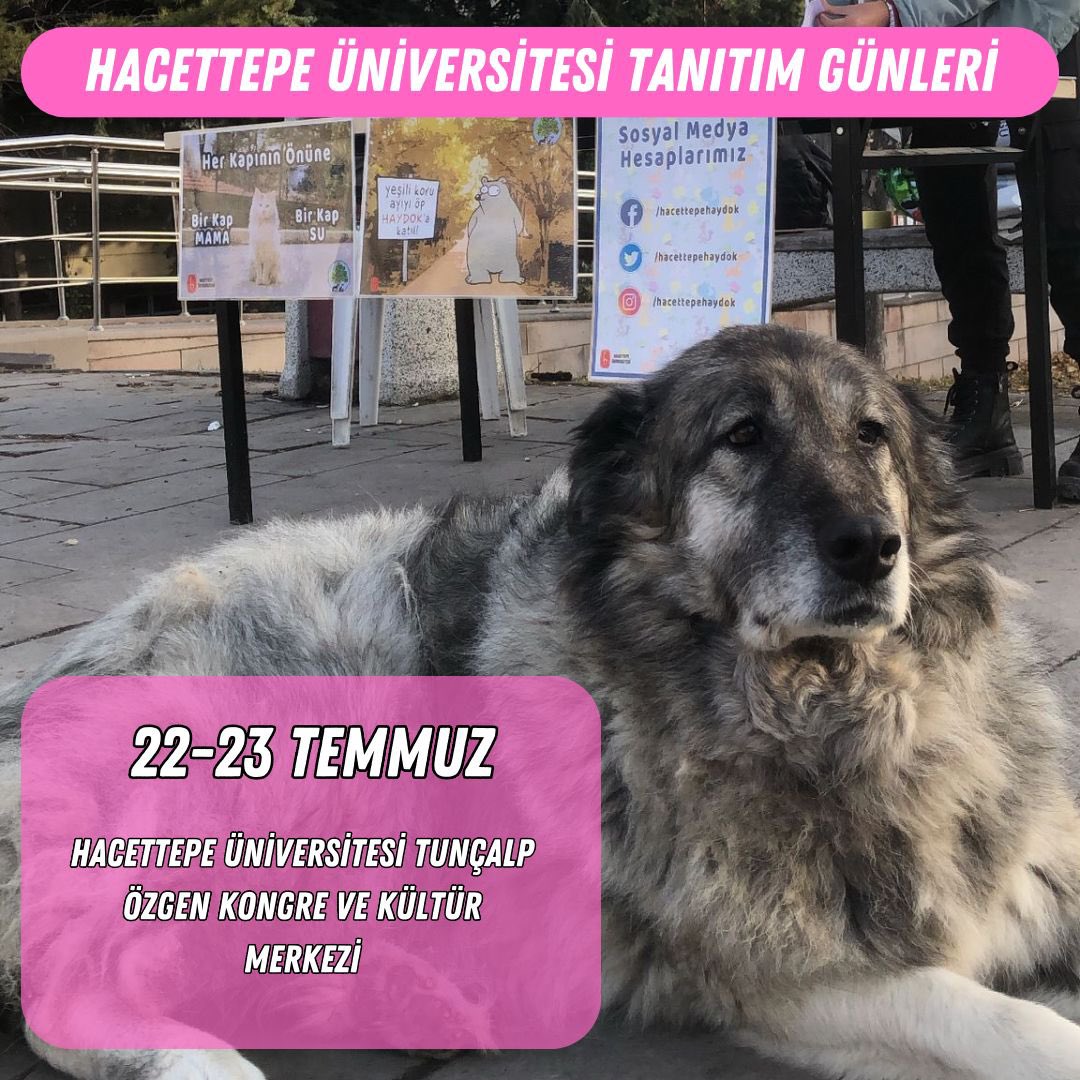 HAYDOK’LA TANIŞMAK İSTER MİSİNİZ🌈

Hacettepe Üniversitesi Hayvan Hakları ve Doğayı Koruma Topluluğu olarak 22-23 Temmuz günleri sizlere kendimizden ve kampüsteki dostlarımızdan bahsetmek üzere tanıtım günleri standımıza bekliyoruz🥳