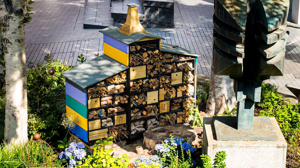 Our city centre just got a bit more buzzing! A new community of bugs and bees have made a home in the heart of #GuildhallShoppingCentre, thanks to a luxury insect hotel crafted by Co Create Exeter from saved off-cuts. #BugHotel 📷Exeter City Council