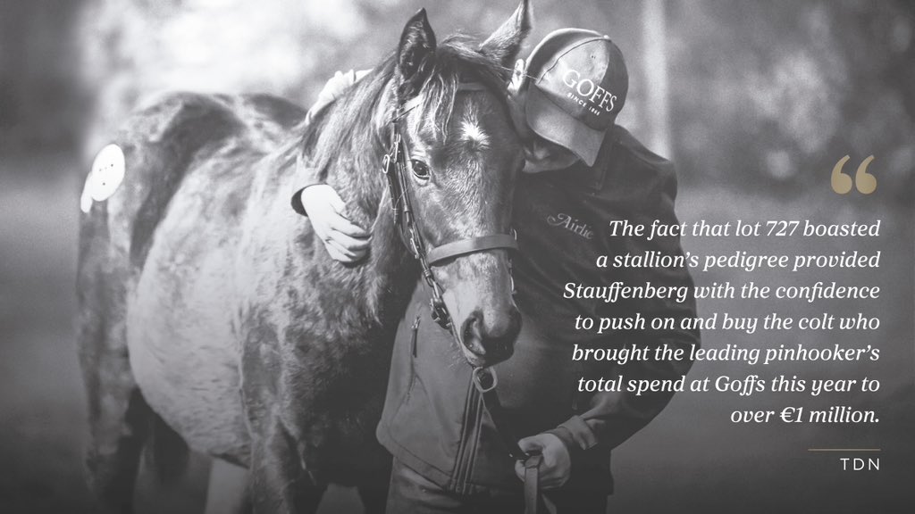 Goffs1866's tweet image. 𝗡𝗢𝗩𝗘𝗠𝗕𝗘𝗥 𝗙𝗢𝗔𝗟 𝗦𝗔𝗟𝗘

The top 3 foals sold at the 2022 sale were purchased by Stauffenberg Bloodstock, Juddmonte &amp;amp; Northern Farm, while 🇮🇪 pinhookers topped the sale by volume. 🤝

𝑬𝒏𝒕𝒆𝒓 𝒐𝒏𝒍𝒊𝒏𝒆: bitly.ws/KDH9

#GoffsNovember | Ireland’s Showcase