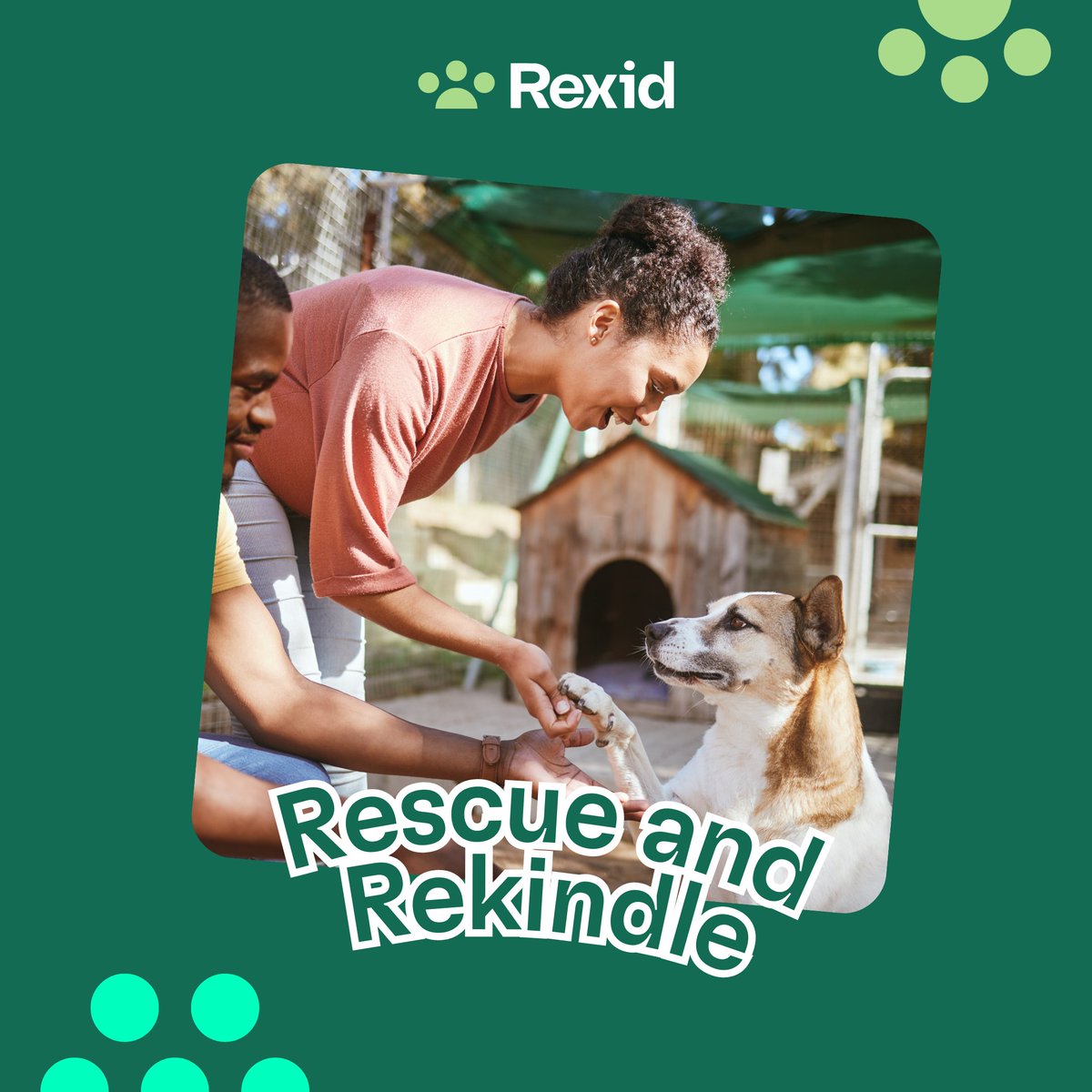 🏠 Every pet deserves a secure life. Ensure your pet's safety with Rexid's top-notch microchips & smart tags. 🐾🔒 #PetSecurity #LostPetRecovery