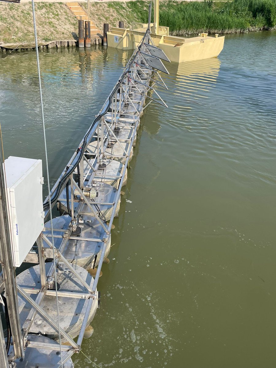 River Cleaning tweet media