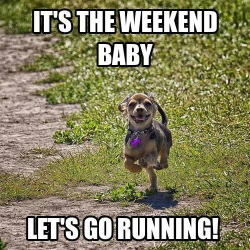 #HappyFriday😎 Who's got the #weekend running feels? 

Looking for a new running event? Go check out our Inflatable 5k and Trail runs! 

ukrunningevents.co.uk