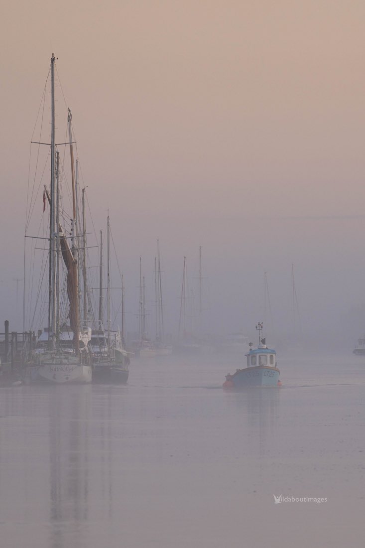 Southwold, Walberswick, Suffolk. Yesterday morning ! 

20-07-23
#southwold #suffolk #lighthouse #sunrisephotography