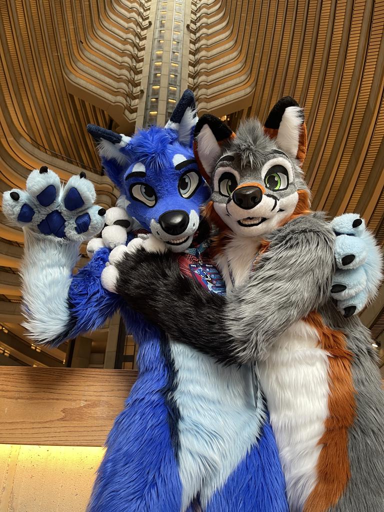 BluesugarDK's tweet image. Sharing some hugs with my incredibly adorable fox brother this #FursuitFriday 💙 If you stand in line there will also be hugs for you 🥰

📸: @/YCHPhoto
🏨: #FWA2023