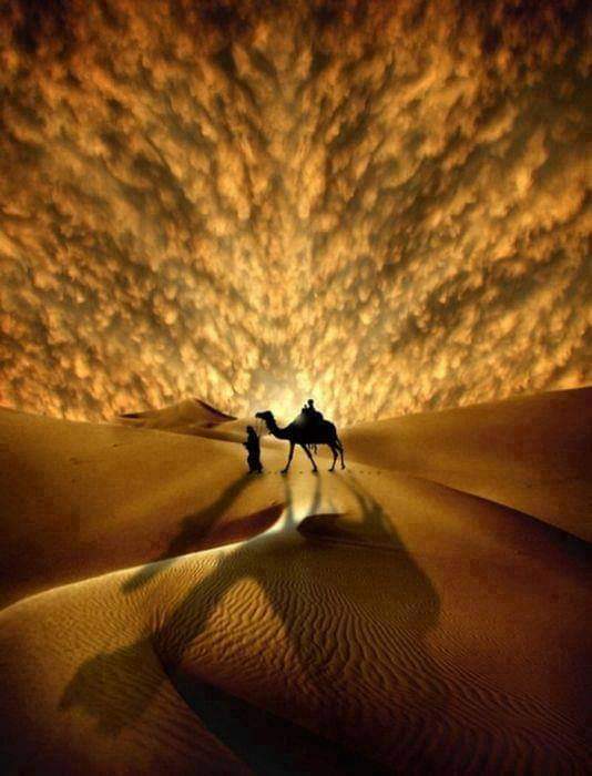m9954_1's tweet photo. تعلمتْ من أيامِي أن السعَادة لنْ نجدهَا إلا فِي قلُوبنا حِينَ نؤمن أنْ الدنْيا مُجرَّد سَفَر، فَلَا شَيءَ فيهَا لنا. 

 . https://t.co/lDX3XjX3fl