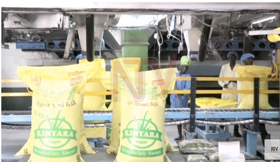 Sugar manufacturers say that the country doesn’t need any more imports, saying importers are causing a price war, further hurting local consumption of Uganda-made Sugar products. #NTVNews

More 👉 bit.ly/43yWsJ0?utm_me…