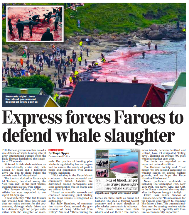 StephSpyro's tweet photo. The Faroese government has issued a rare defence of whale hunting after it drew international outrage when the Daily Express highlighted the slaughter of 77 animals.

Sickened British tourists on a cruise ship witnessed the “sea turn red” as the pilot whales were killed. https://t.co/m071JBcNHR