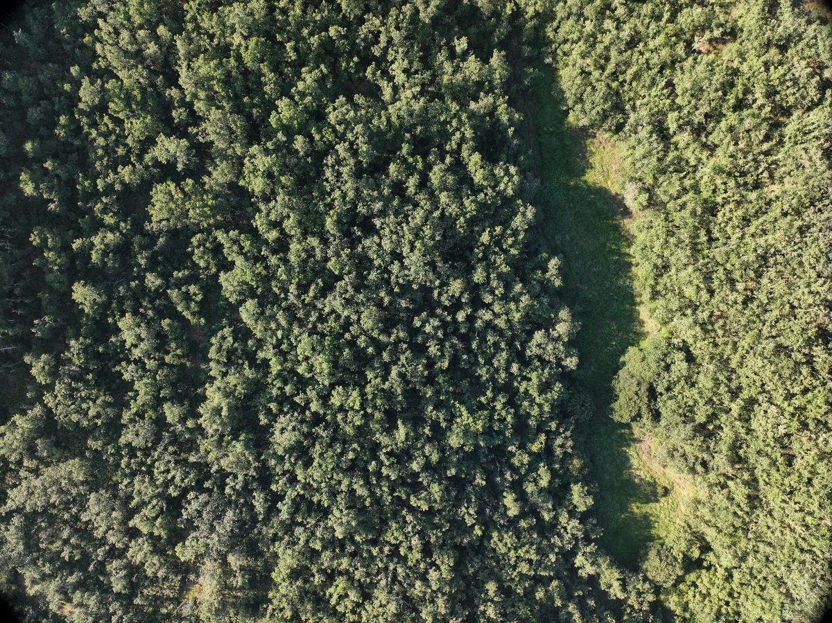 aitorvv's tweet photo. Esta semana hemos estado probando los nuevos  jueguetes, ahora toca descargar la información y sacar conclusiones para los próximos vuelos.

@OrdonezAC 
@Frederico_Simões 
#dji #geoslam #mavick3 #matrice300rtk 
#somosiufor https://t.co/57U6LAqPvE