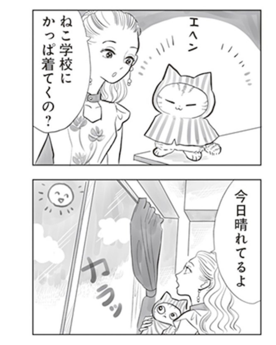 雨ガッパでおしゃれしたいねこの心が打ち砕かれる!
その時人間は…⁉️(1/2) 