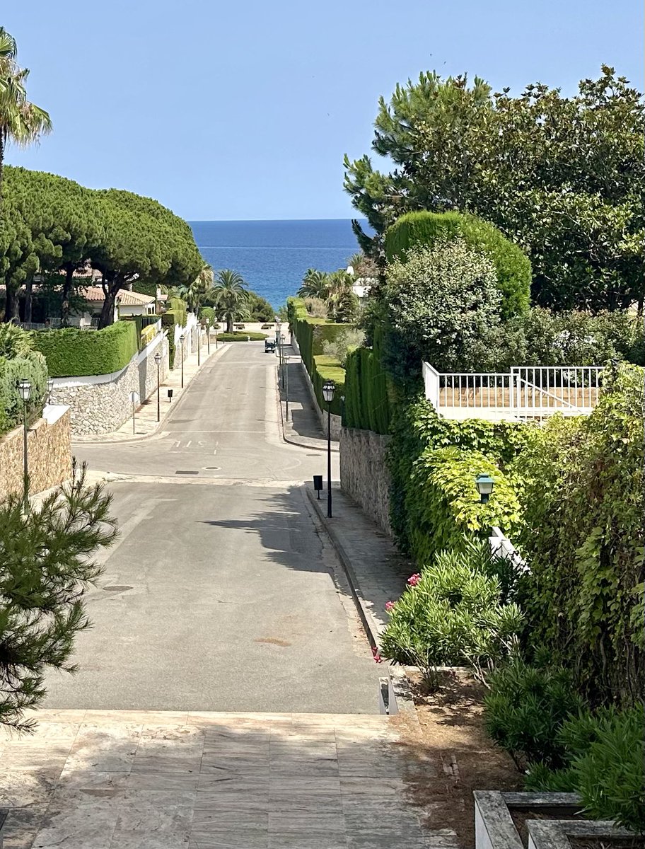 Tomek Czech tweet media