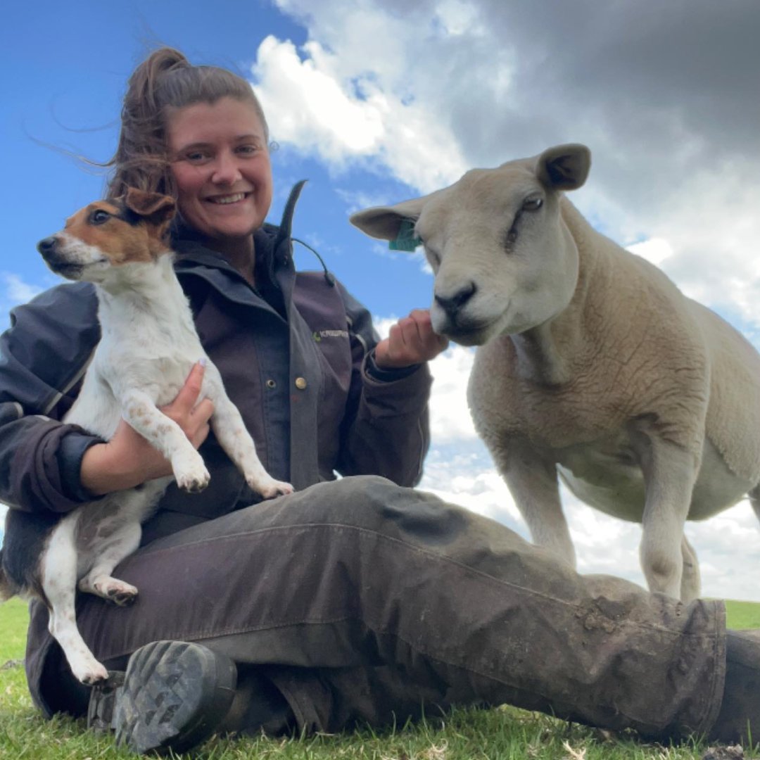 Datamars Livestock tweet media