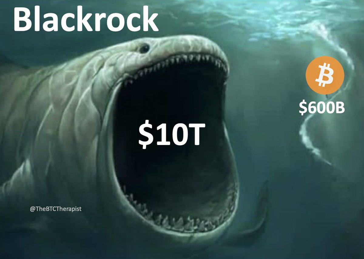 The ₿itcoin Therapist tweet media