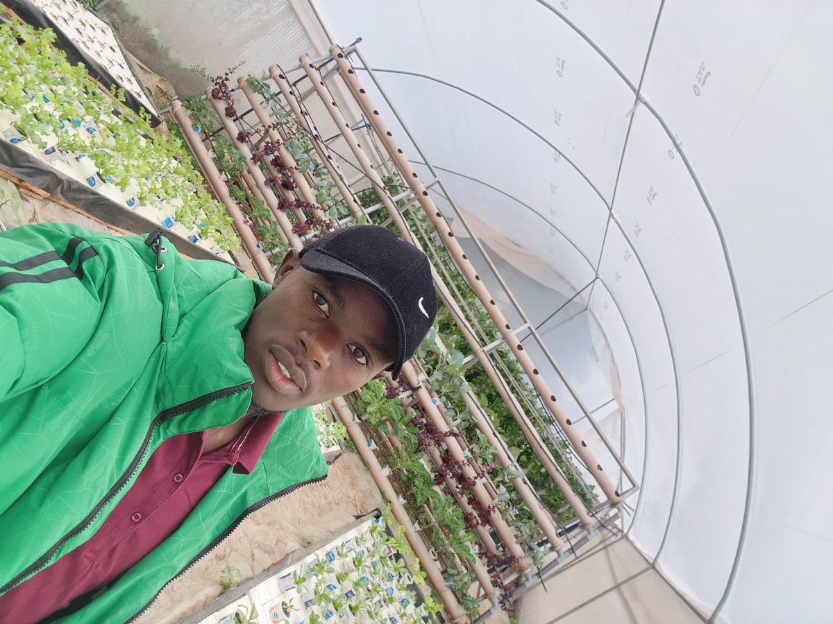 MichaelMwangiN7's tweet photo. Hydroponics vertical system installation from inception to vegetables
We convert small space to food production area. Grow more without land.@MichaelMwangiN7 @Mykgreenponics1 @greenponics_s #verticalfarming #hydroponics https://t.co/cSp4L8KTIk