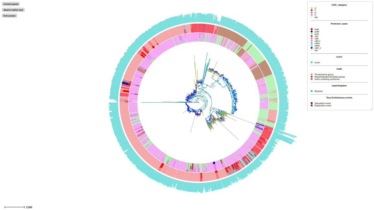 deng_ziqi's tweet photo. I'm excited to attend #ISMBECCB2023 and present a series of phylogenetic applications (ETE Toolkit version4 @etetoolkit , TreeProfiler and PhyloCloud) from our @cgmlaboratory in #EvolCompGen panel. https://t.co/w5RgllOIma