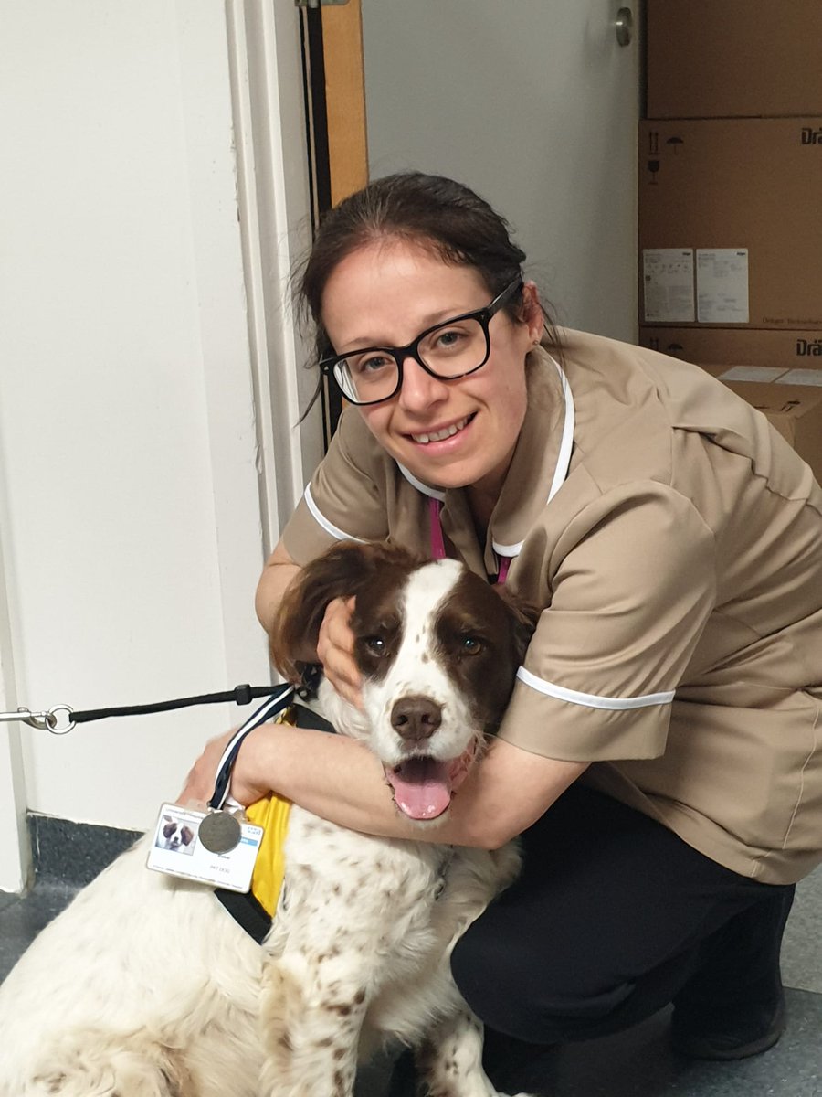 Jo Steele (@josteele1977) on Twitter photo #ICURehabDay23 is here!! Lots of amazing rehab sessions are happening. It wouldn't be right not to share our amazing Keith and Emma, our Pet Therapy volunteers and #rehablegends <a href="/UHNM_NHS/">UHNM NHS Trust 🏥</a> #Petsastherapy #humanisingICU #ICUsteps #ICURehabDay23 is here!! Lots of amazing rehab sessions are happening. It wouldn't be right not to share our amazing Keith and Emma, our Pet Therapy volunteers and #rehablegends <a href="/UHNM_NHS/">UHNM NHS Trust 🏥</a> #Petsastherapy #humanisingICU #ICUsteps