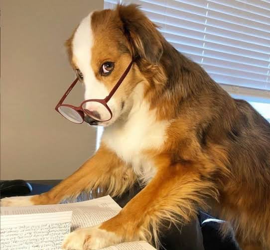 ogrambert18's tweet image. Dore ikintu gituma ntacika intege nuko mba ntazo nubundi nifitiye peee