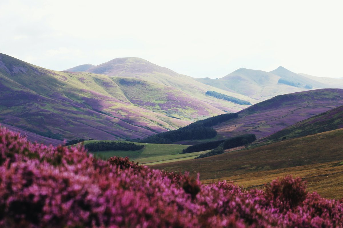 Free weekend? Hit the road! We've compiled a list of some of our fav daytrips, inc @jupiterartland, @DLivingstoneBP, @vadundee, @JannettasGelato, @lomondtrossachs theskinny.co.uk/travel/feature…