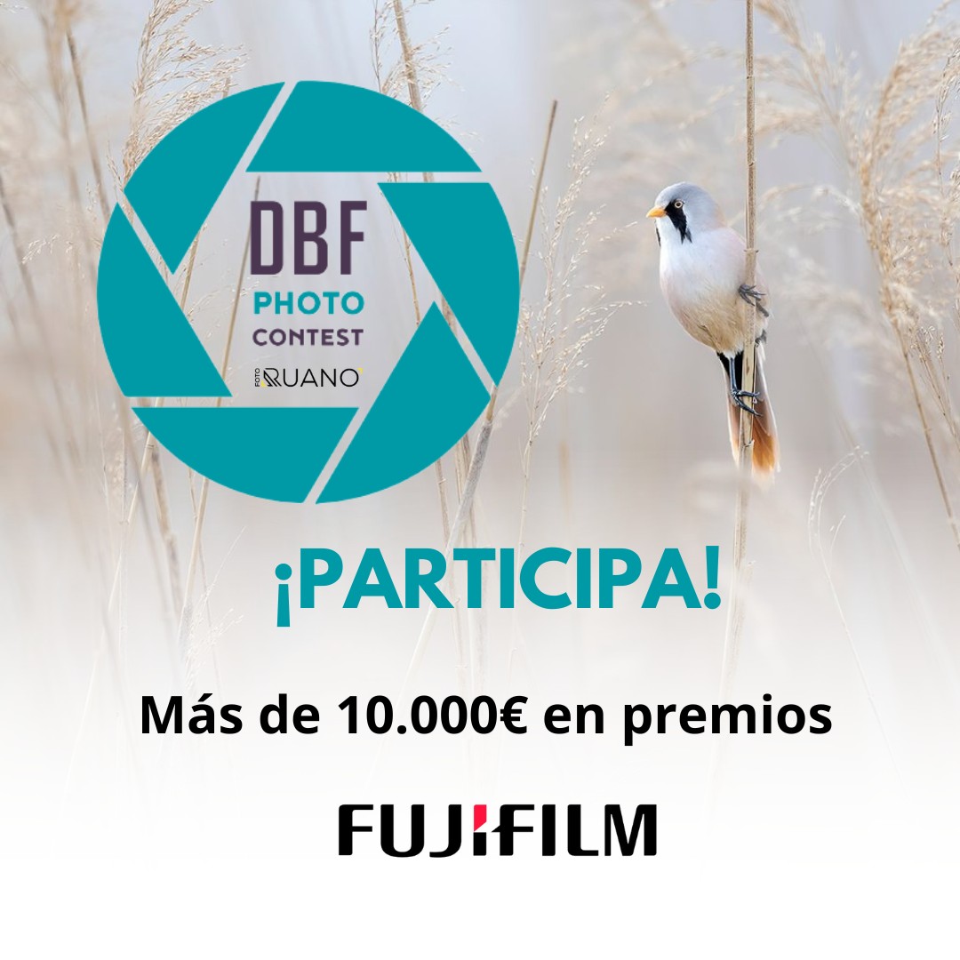 ¿Quieres ganar una cámara #Fujifilm #XH2S con la óptica #Fujinon #XF150600mm F5.6-8 R LM OIS WR?

¡Participa en el #DeltaPhotoContest de @DeltaBirdingF! 📸

🗓️ Recuerda que puedes enviar tus fotografías de aves hasta el 24 de julio.

¡Consulta las bases en bitly.ws/JWwT…