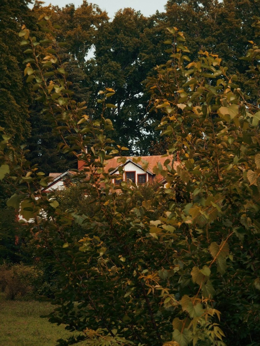 10rd77's tweet photo. Found an old camera at home- view from my room https://t.co/LBtoeuyk5z
