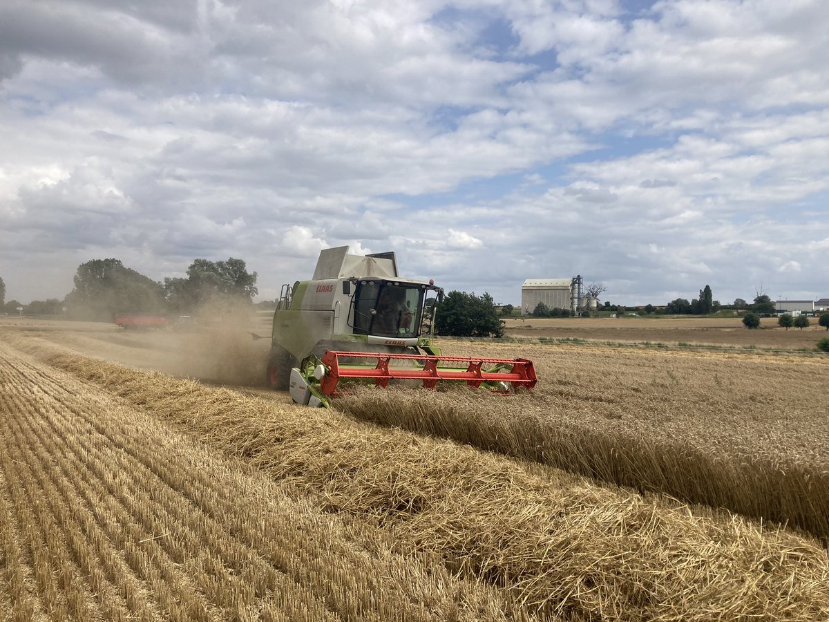 LePogamGuillaum's tweet image. La #moisson2023 🌾 
Le #blé va rejoindre le silo @Agoracoop 
#FrAgriMoisson2023