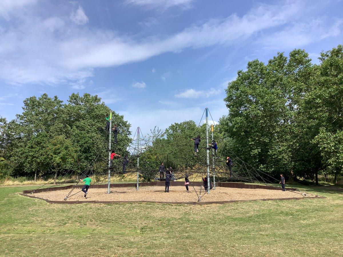 Halley Year5 tweet media