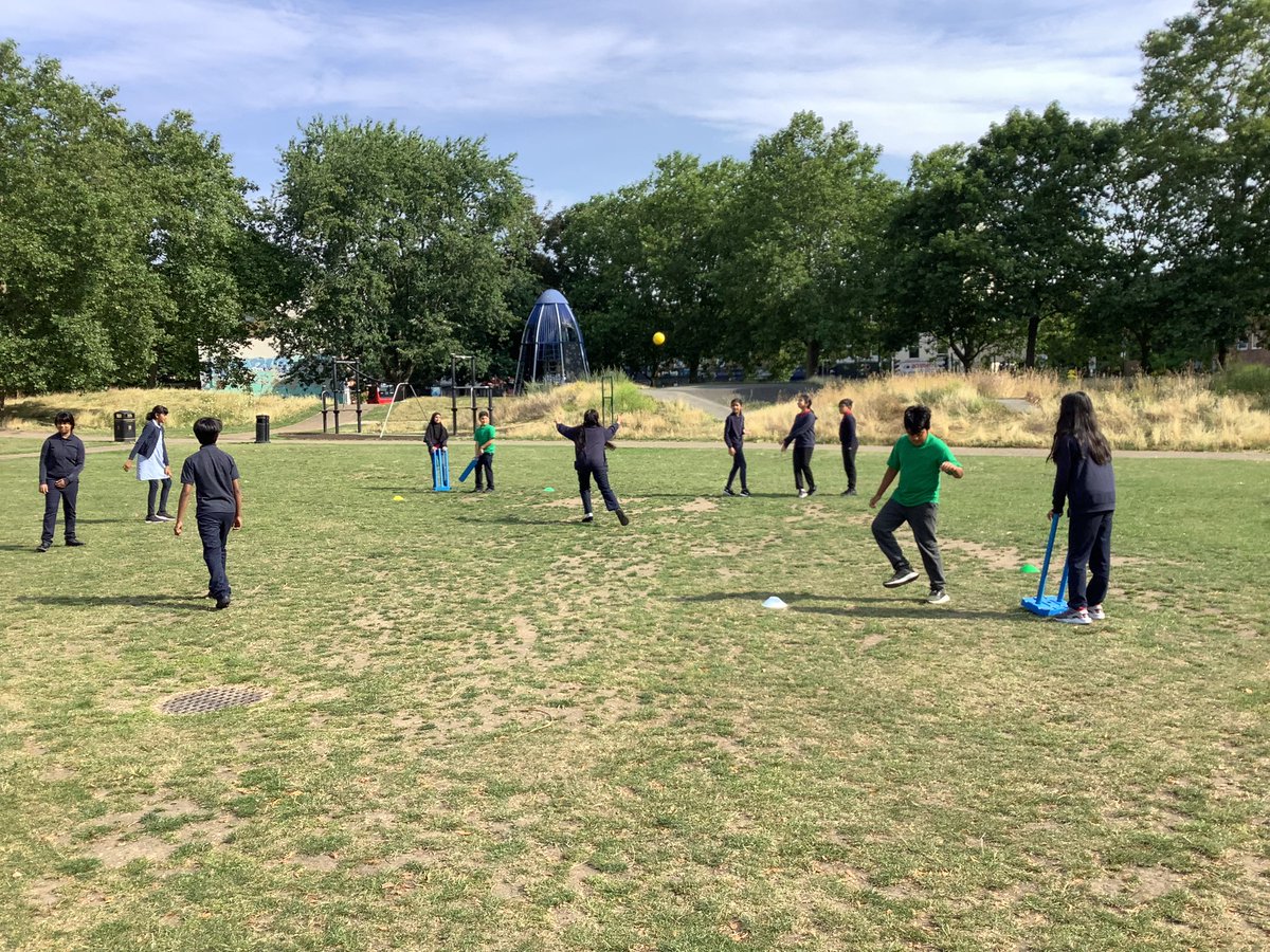 Halley Year5 tweet media